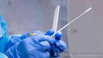 AHS to re-check thousands of archived respiratory samples - Lethbridge News Now