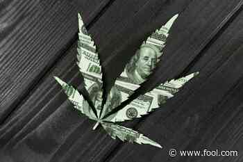 Medical vs. Recreational Cannabis: Which Is the Future? - Motley Fool