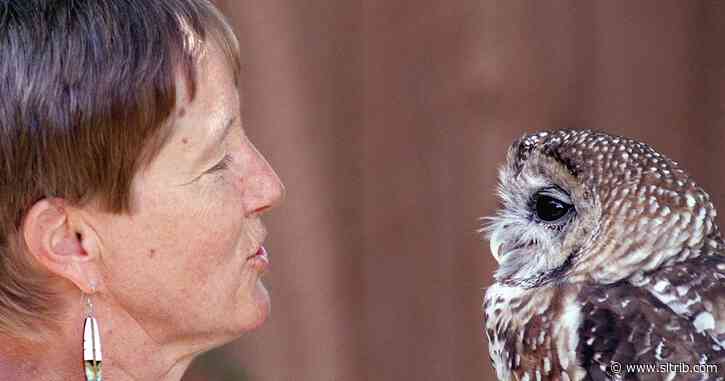 Feds, conservationists take ‘step forward’ with talks to protect endangered Mexican spotted owl