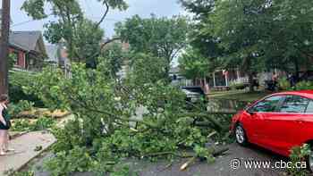 Cleanup continues after storm soaks Toronto