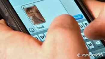 Loon Lake man who posed as young woman on Facebook to lure kids sentenced to 5 years