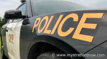 Horse killed, two people injured, after collision in Perth East - My Stratford Now