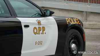 Burlington man crashes car through fence into backyard of Peterborough home: police - CBC.ca