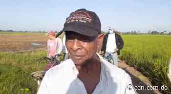 Militares brindan protección a productores de arroz amenazados por haitianos en Dajabón - CDN