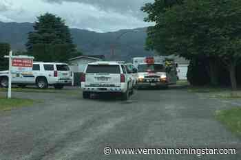 Emergency crews conduct CPR on unresponsive person in Okanagan Lake - Vernon Morning Star