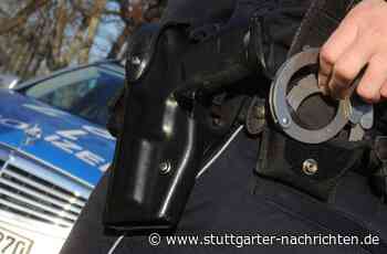Fahrraddiebstahl in Stuttgart-Süd - Gestohlenes Fahrrad im Internet entdeckt und Falle gestellt - Stuttgarter Nachrichten