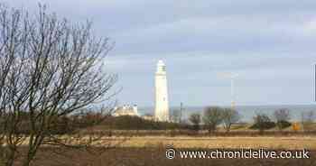 Look inside Whitley Bay home with stunning views of St Mary's Lighthouse