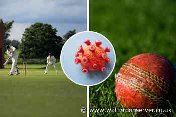 English Cricket Board issues coronavirus guidance