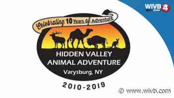 Employee of Hidden Valley Animal Adventure Park injured