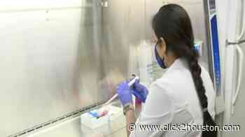 Houston researchers monitor virus mutations to fight COVID-19 pandemic - KPRC Click2Houston