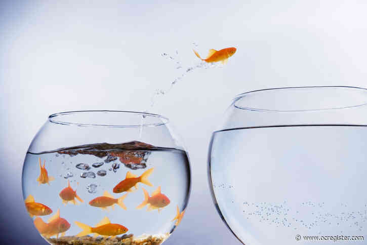 Bidding war strategies: How to set yourself above the competition