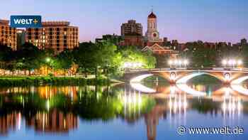 So schaffen Sie es nach Harvard, Yale oder Princeton