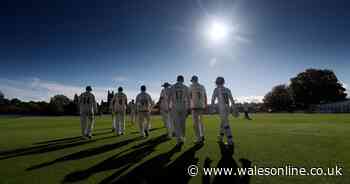 New rules for playing cricket include no spitting on the ball or high-fives
