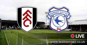 Fulham v Cardiff City live - latest updates