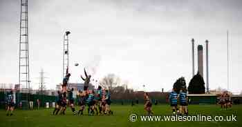 Welsh rugby bosses to explain rules and plans as team sports given go-ahead