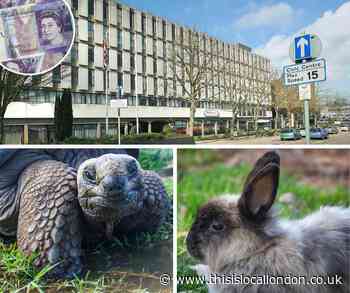 Harrow Council gives update on Covid-19 business support