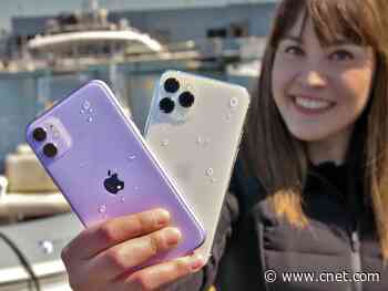 iPhone 11 and 11 Pro water test: These phones might secretly be waterproof     - CNET