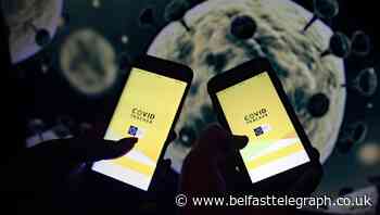 HSE issues warning over contact tracing text scam