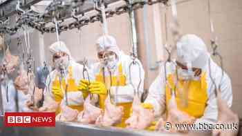 Coronavirus: Food plant cases no longer an anxiety, says FM