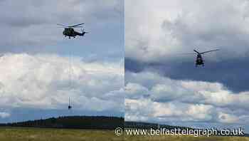 RAF ‘delighted’ to rescue stranded cow from Cumbria river