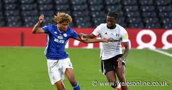 Cardiff City player ratings as Dion Sanderson has night to forget at Fulham