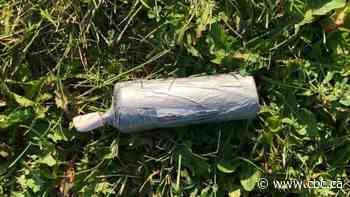 Sault Ste. Marie police charge man for carrying an explosive device - CBC.ca