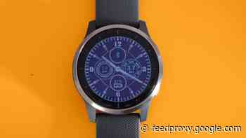 Garmin Vivoactive 4