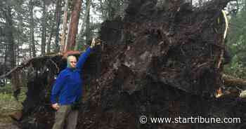 Caught in storm, Boundary Waters campers thankful to be alive