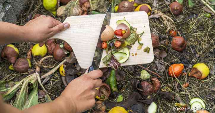 A simple beginner's guide to composting