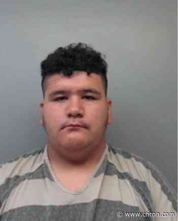 Laredo man pleads guilty to strangling kitten