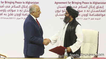 Taliban, despite 'peace' talks, led the world by far in 2019 terrorist attacks, study finds