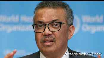 WHO boss forms coronavirus response panel with former Liberia, New Zealand leaders in charge
