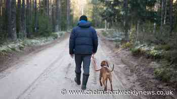 Benefit cheat claimed £24k while running Colchester dog walking business - Chelmsford Weekly News