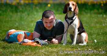 When the Met Office says sunny days are coming in Bristol