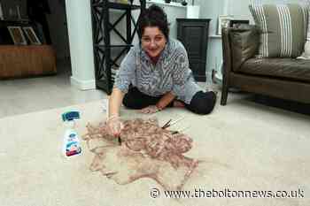 Artist paints the queen using red wine and Dr Beckmann cleaner