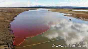 Oil Spill In Moscow Region S Khimki Reservoir Results In Death Of