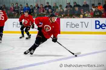 A Look at the Ottawa Senators' Young Defensemen - The Hockey Writers