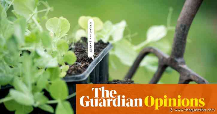 My allotment was once a casual hobby. Since lockdown, it's become a lifeline | Alice O'Keefe