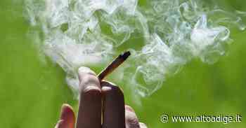 Tesino, quattro giovani veneti trovati con l' "erba" nella casa delle vacanze - Alto Adige