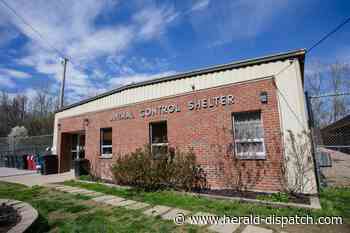 Animal shelter receives grant to continue funding its medical director position - Huntington Herald Dispatch