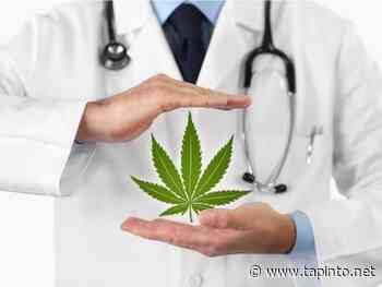 Ocean Township Mulls Zoning for Medical Cannabis Dispensary - TAPinto.net