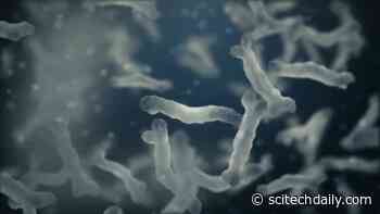 Viral Dark Matter Exposed in Pioneering Research