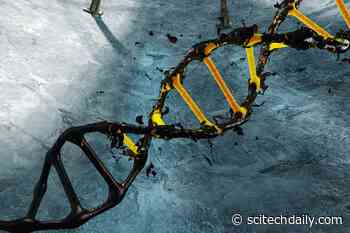 How Genetic ‘Fingerprints’ of First COVID-19 Cases Help Manage Pandemic in Australia