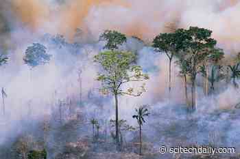 NASA Finds Conditions Ripe for Active Amazon Fire, Atlantic Hurricane Seasons