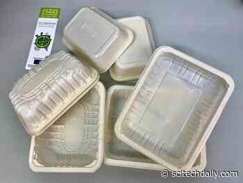 Biodegradable Food Packaging That Also Increases Food Shelf Life