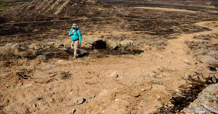 With humans sparking more than 80% of Utah wildfires, officials step up restrictions