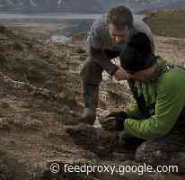 How Awe Motivates Scientific Discovery