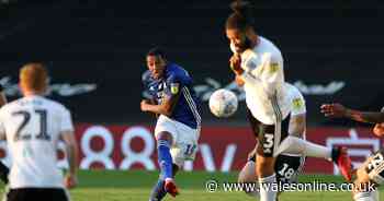Cardiff City's fab front four Neil Harris has to pick to ignite play-off charge