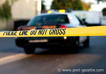 Gunshot victim found dead under bushes on Manchester street