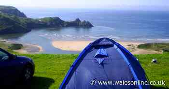 Holiday park takes 300 bookings in one day as restrictions relaxed